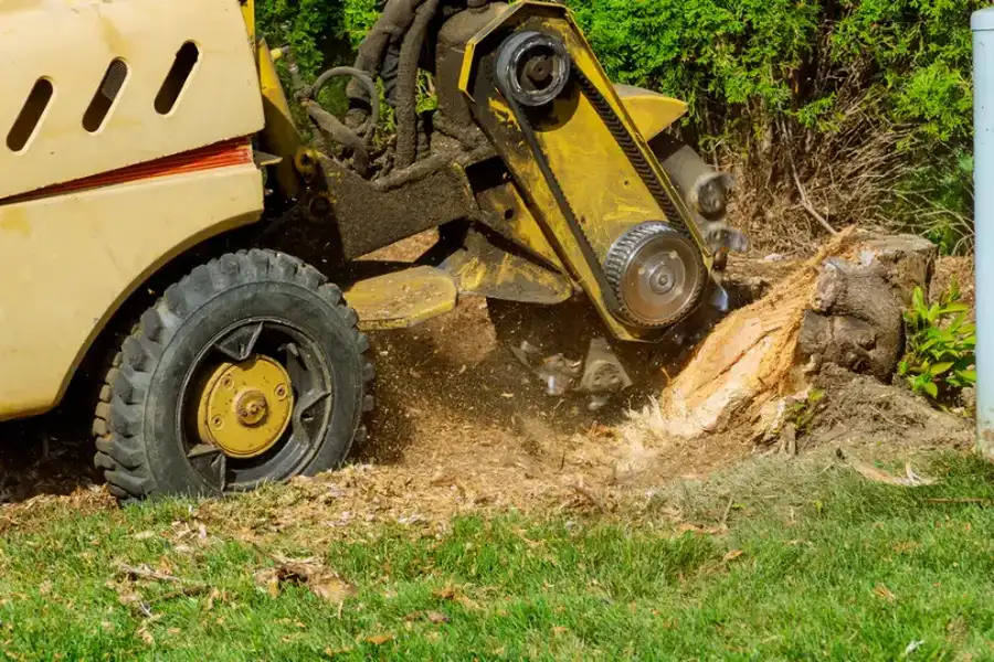 Benefits Of Hiring Professionals For Stump Grinding Services Alamogordo NM Benefits Of Hiring Professionals For Stump Grinding Services Alamogordo NM