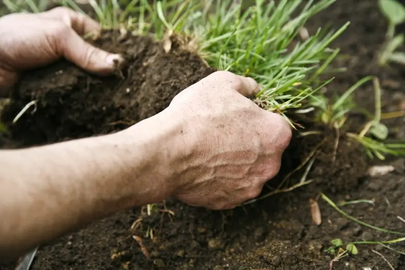 Expert Sod Installation Alamogordo NM Expert Sod Installation Alamogordo NM