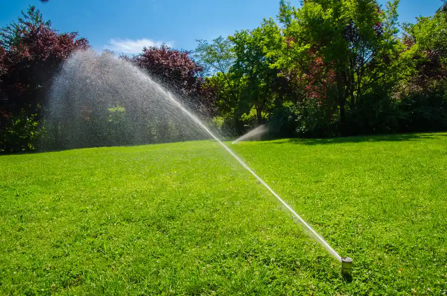 How Irrigation Services Help In Drought-prone Areas in Alamogordo NM How Irrigation Services Help In Drought-prone Areas in Alamogordo NM