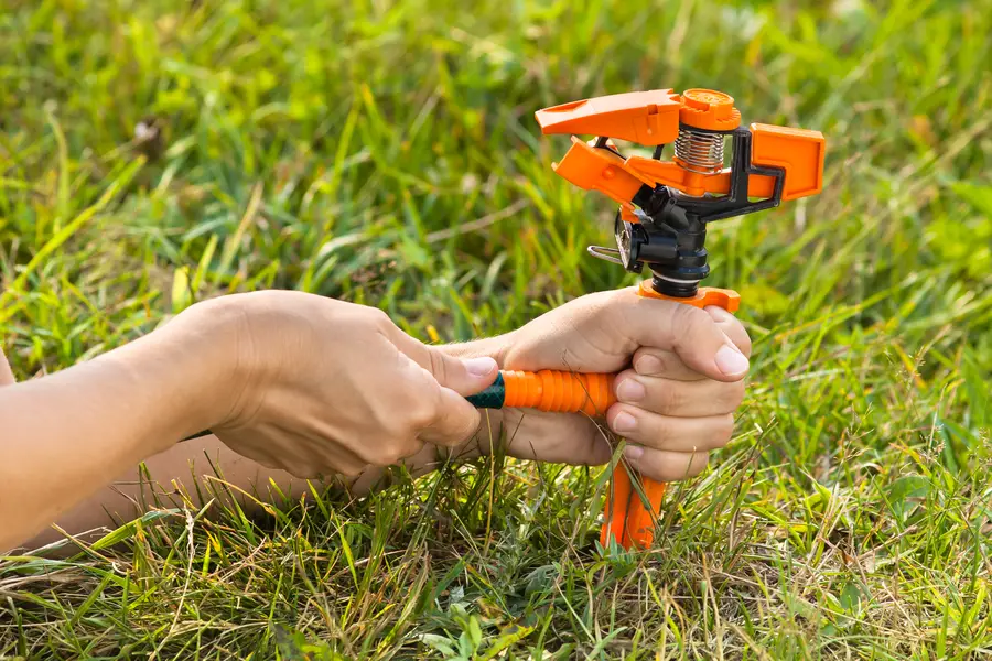 How To Choose The Right Irrigation System For Your Garden in Alamogordo NM How To Choose The Right Irrigation System For Your Garden in Alamogordo NM