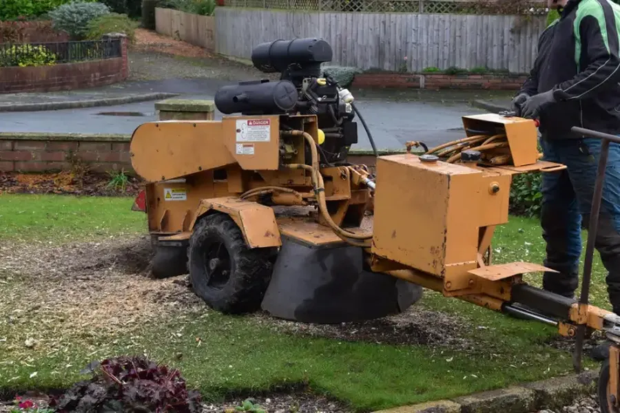 The Role Of Stump Grinding In Lawn Renovation Projects Alamogordo NM The Role Of Stump Grinding In Lawn Renovation Projects Alamogordo NM