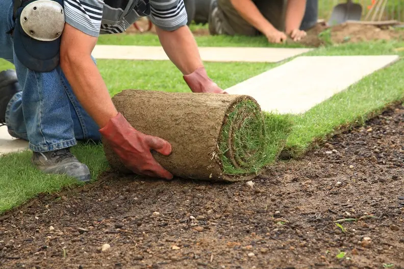 What To Expect After A Sod Installation Service Alamogordo NM What To Expect After A Sod Installation Service Alamogordo NM
